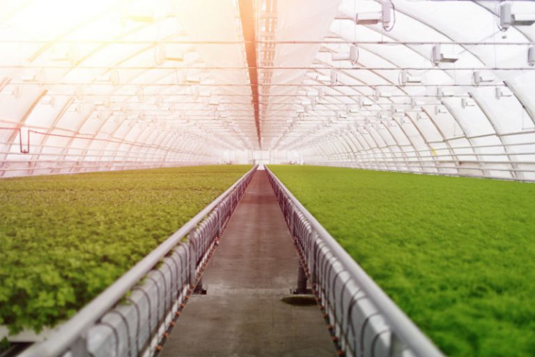 5 Benefits Of Smart Farming That You Can’t Ignore